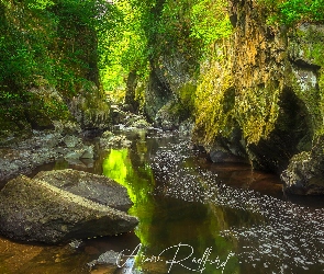 Rzeka Conwy, Kamienie, Wąwóz Fairy Glen, Park Narodowy Snowdonia, Drzewa, Wioska Betws y Coed, Walia, Skały