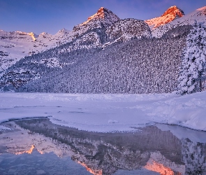 Lake Louise, Odbicie, Zima, Zamarznięte, Park Narodowy Banff, Kanada, Góry, Alberta, Jezioro, Ośnieżone, Drzewa