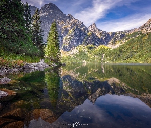 Jezioro, Drzewa, Góry, Morskie Oko, Skały, Polska, Tatry