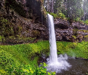 South Falls, Trawa, Wodospad, Drzewa, Stan Oregon, Skały, Stany Zjednoczone, Park stanowy Silver Falls