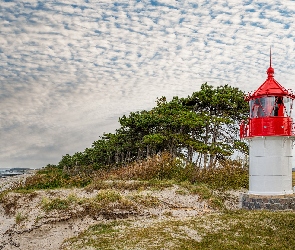 Drzewa, Niemcy, Wyspa Hiddensee, Morze Bałtyckie, Latarnia morska Gellen