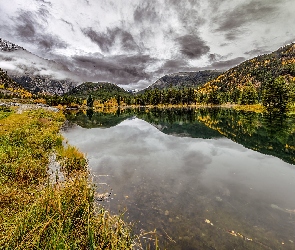 Stany Zjednoczone, Stan Kolorado, Jezioro, Góry Skaliste, Officers Gulch Pond, Drzewa