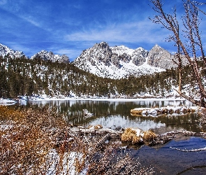 Kalifornia, Krzewy, Jezioro, Stany Zjednoczone, Drzewa, Góry, Gilbert Lake