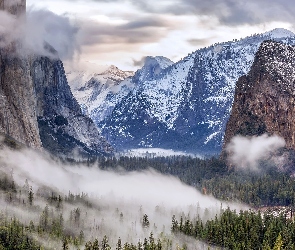 Park Narodowy Yosemite, Kalifornia, Drzewa, Stany Zjednoczone, Chmury, Góry, Mgła