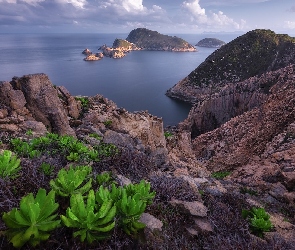 Wysepki, Skały, Hongkong, Roślinność, Morze, Chiny, Geopark