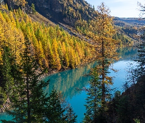Jezioro, Alpy, Jesień, Góry, Valais, Lac de Tseuzier, Szwajcaria, Drzewa