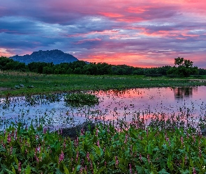 Jezioro, Łąka, Góry, Zachód słońca, Arizona, Willow Lake, Stany Zjednoczone, Szuwary