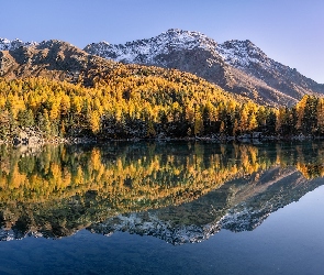 Góry, Jesień, Drzewa, Jezioro, Szwajcaria