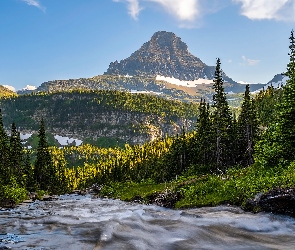 Góry, Drzewa, Montana, Park Narodowy Glacier, Stany Zjednoczone, Rzeka
