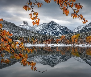 Kanada, Alberta, Jezioro, Góry Skaliste, Drzewa, Park Narodowy Banff