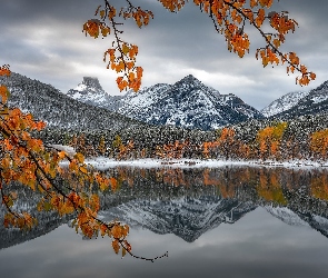 Kanada, Alberta, Jezioro, Góry Skaliste, Drzewa, Park Narodowy Banff