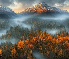 Chmury, Jesień, Lasy, Wschód słońca, Mgła, Góry, Drzewa