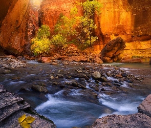 Park Narodowy Zion, Stan Utah, Virgin River, Stany Zjednoczone, Drzewa, Rzeka, Kanion Zion Narrows, Skały, Kamienie