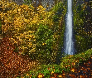 Wodospad, Drzewa, Wąwóz, Las, Jesień