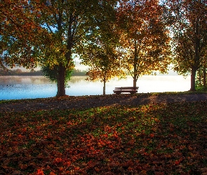 Ławka, Liście, Jezioro, Jesień, Drzewa, Pożółkłe