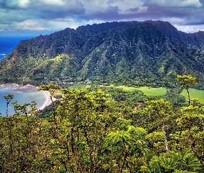 Hawaje, Koolauloa, Kahana Valley, Stany Zjednoczone, Roślinność, Dolina, Góry