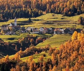 Drzewa, Domy, Jesień, Kościół, Kanton Gryzonia, Las, Szwajcaria, Wieś Savognin