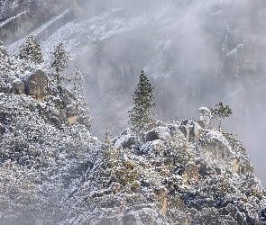 Drzewa, Skały, Kalifornia, Mgła, Góry, Park Narodowy Yosemite, Stany Zjednoczone