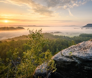 Park Narodowy Saskiej Szwajcarii, Drzewa, Niemcy, Skały, Chmury, Góry Połabskie, Wschód słońca, Mgła