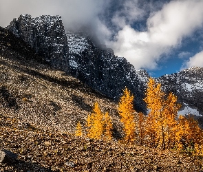 Jesień, Chmury, Drzewa, Pożółkłe, Góry