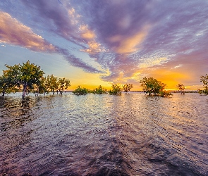 Kolorado, Jezioro, Stany Zjednoczone, Chatfield State Park, Chmury, Wschód słońca, Drzewa, Chatfield Lake