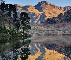 Anglia, Odbicie, Drzewa, Kumbria, Langdale Pikes, Szczyty, Jezioro, Blea Tarn Lake, Góry, Park Narodowy Lake District