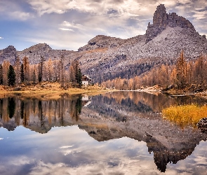 Jesień, Odbicie, Żółta, Włochy, Trawa, Lago Federa, Góry, Dolomity, Jezioro