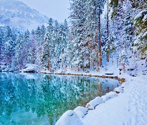 Jezioro Blausee, Ośnieżone, Drzewa, Zima, Szwajcaria