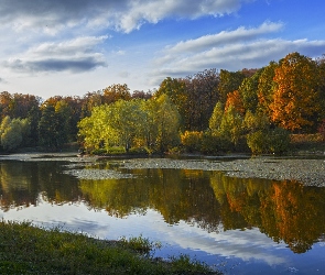 Brzeg, Odbicie, Drzewa, Trawa, Staw, Jesień, Park