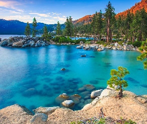 Jezioro, Nevada, Kamienie, Stany Zjednoczone, Sand Harbor Beach, Góry, Tahoe Lake, Drzewa, Sosny