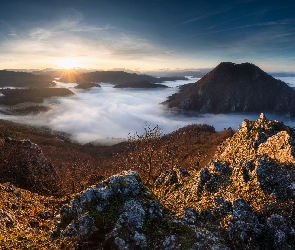 Krzewy, Mgła, Góry, Słowacja, Skały, Wschód słońca, Sulowskie Wierchy