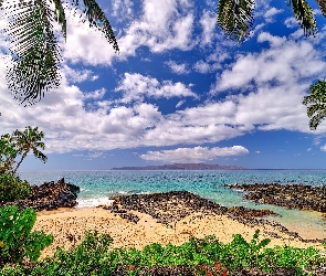 Plaża, Palmy, Wyspa Maui, Chmury, Roślinność, Hawaje, Morze