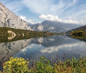 Włochy, Odbicie, Jezioro, Góry, Cavedine Lake, Rośliny