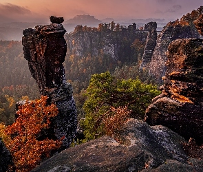 Park Narodowy Saskiej Szwajcarii, Drzewa, Bastei, Niemcy, Góry, Formacja skalna, Skały