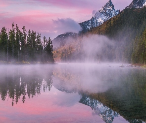 Góry, Stan Wyoming, Mgła, Stany Zjednoczone, Park Narodowy Grand Teton, String Lake, Drzewa, Las, Jezioro