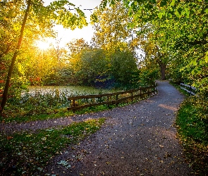 Staw, Ogrodzenie, Park, Droga