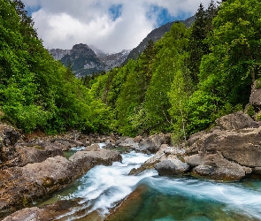 Valle de Bujaruelo, Skały, Rio Ara, Wąwóz, Rezerwat przyrody, Aragonia, Posets Maladeta, Drzewa, Hiszpania, Rzeka