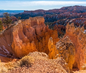 Stan Utah, Park Narodowy Bryce Canyon, Skały, Stany Zjednoczone, Drzewa, Góry, Kanion