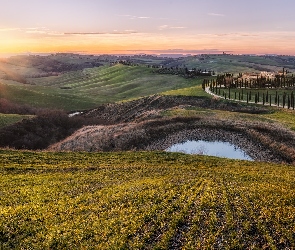 Włochy, Hotel, Cyprysy, Agriturismo Baccoleno, Domy, Droga, Toskania, Promienie słońca, Pola