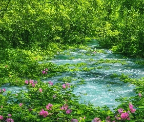Zielone, Rośliny, Kwiaty, Drzewa, Rzeka