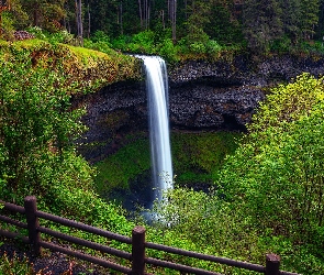 South Falls, Ogrodzenie, Wodospad, Drzewa, Stan Oregon, Skały, Stany Zjednoczone, Park stanowy Silver Falls