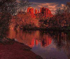 Stany Zjednoczone, Sedona, Odbicie, Arizona, Skały, Czerwone, Cathedral Rock, Rzeka, Góry, Drzewa