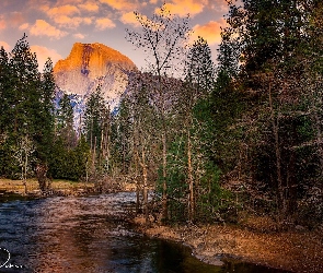 Kalifornia, Half Dome, Stany Zjednoczone, Góra, Merced River, Park Narodowy Yosemite, Drzewa, Rzeka