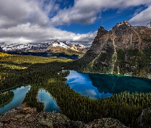 Drzewo, Park Narodowy Yoho, Las, Kanada, Park, Jezioro OHara, Góry, Jezioro, Mary Lake