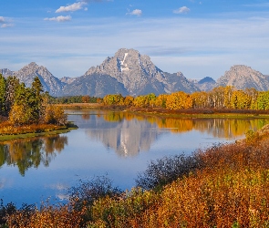 Stany Zjednoczone, Rzeka Snake River, Jesień, Stan Wyoming, Teton Range, Góry, Las, Drzewa, Park Narodowy Grand Teton, Krzewy