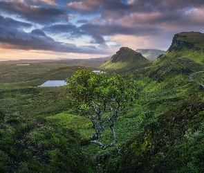 Wzgórza, Chmury, Góry, Drzewo, Wzgórze Quiraing, Jeziora, Szkocja, Wyspa Skye