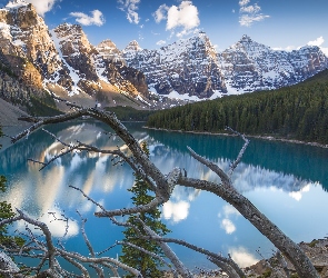 Drzewa, Suche, Kanada, Jezioro Moraine, Konary, Odbicie, Alberta, Chmury, Las, Park Narodowy Banff, Góry
