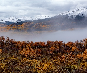 Rocky Mountains, Lasy, Stany Zjednoczone, Jesień, Mgła, Góry Skaliste, Roślinność, Drzewa