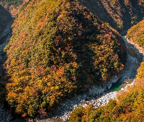 Japonia, Hinoji Valley, Dolina, Wyspa Sikoku, Góry, Zalesione, Drzewa, Lasy, Jesień, Rzeka Iya