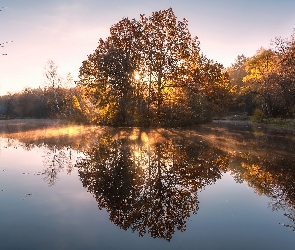 Jezioro, Wschód słońca, Odbicie, Drzewa, Jesień